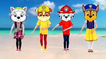 PAW Patrol Heads Meet Chu Chu Ua Dance Madness! The Ultimate Kid's Mashup Party!