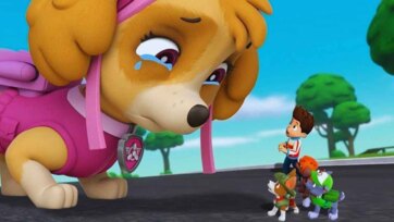 Paw Patrol Color Discovery with Chase and Skye - Gentle Play Video for Kids