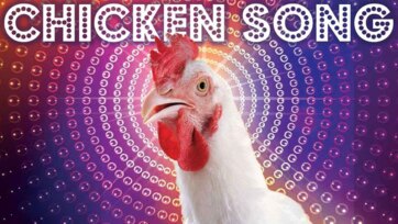 Dancing Chicken Disco Adventure for Kids